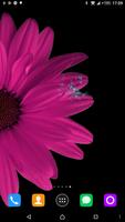 Chamomile live Wallpaper ảnh chụp màn hình 2