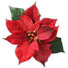 Christmas flower LWP icon