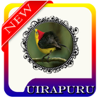 Brazilian Birds Uirapuru MP3 أيقونة