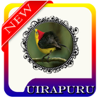 Brazilian Birds Uirapuru MP3 ikona