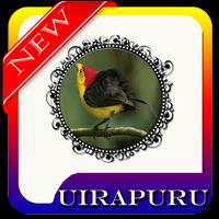 Brazilian Birds Uirapuru MP3 Affiche