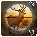 Wild Animal Jungle Hunting APK