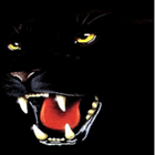 Panther Rush icône