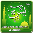 Surah Yasin Audio MP3 & Urdu 图标