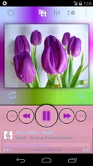 Pink Skin for Poweramp APK download