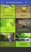 O som de aves (200 mais) تصوير الشاشة 3