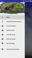 Canto De Aracua Silvestre capture d'écran 1