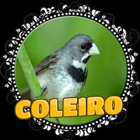 FÊMEA DE COLEIRO MACHEANDO الملصق