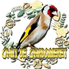 Chant de chardonneret parva icono