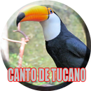 O Canto do Tucano APK