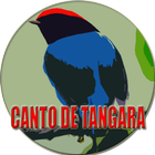 Icona Canto do Tangará tropeiro