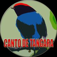 Canto do Tangará tropeiro capture d'écran 1