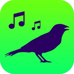 Todos Cantos Pássaros Brasil - Canto de Pássaros アプリダウンロード