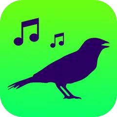 Todos Cantos Pássaros Brasil - Canto de Pássaros APK 下載