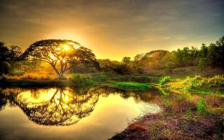 Nature Wallpaper HD Background Cartaz