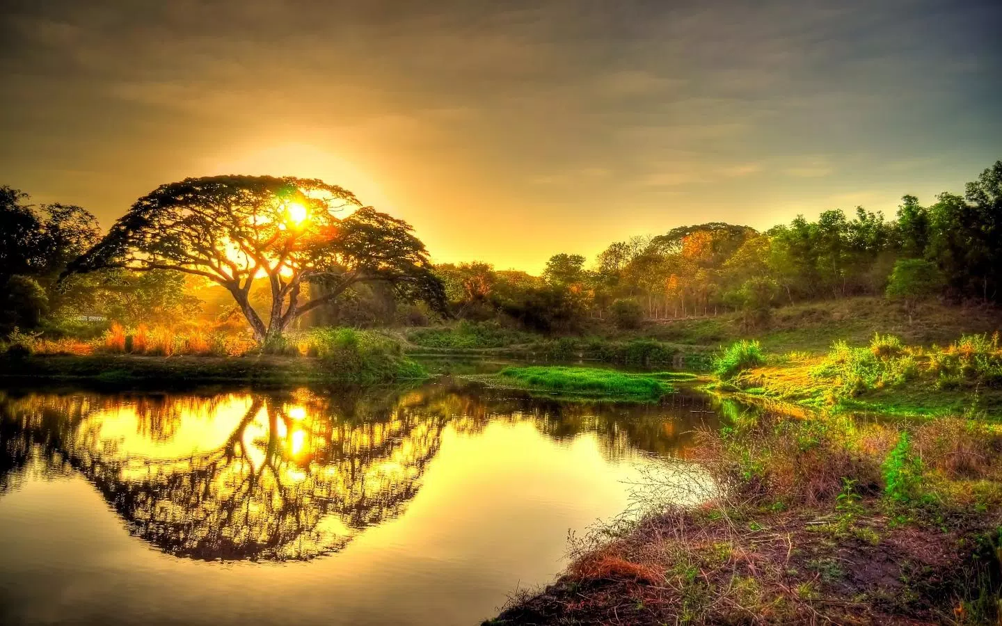 Nature Wallpaper HD Background APK for Android Download Nature Wallpaper HD Background APK for Android Download