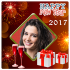 Happy New Year 2017 Celebrate icon