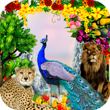 Peacock & Nature Photo Frames أيقونة