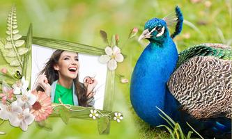 Peacock & Nature Photo Frames Affiche