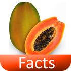 Papaya Facts-icoon