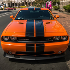 Muscle cars HD Wallpapers آئیکن