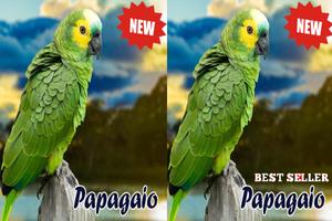 Cantos De Papagaio स्क्रीनशॉट 2