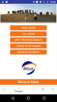 برنامه‌نما Ibicus in Dubai عکس از صفحه