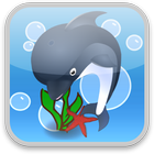 Dolphin Game icon