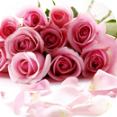 صور أزهار متحركة GIF APK
