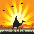 ”sunset live Wallpaper