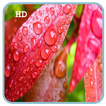 S6 Rain Drop HD LiveWallpaper