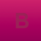bidbox icône