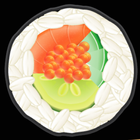Rolz Sushi icon
