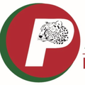 PASTEF