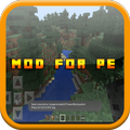 MOD FOR PE