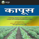 COTTON (KAPUS) VNMKV,Parbhani APK