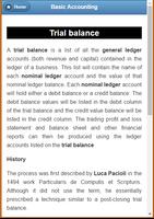 Basic Accounting screenshot 7