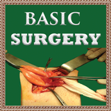 Basic Surgery icono