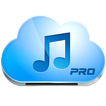 Music Paradise Pro