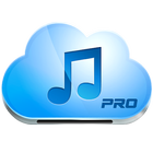 Music Paradise Pro icône
