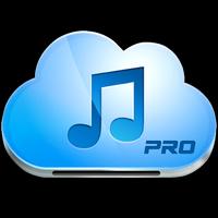 Music Paradise Pro পোস্টার