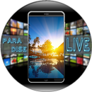 Paradise Live Wallpaper APK