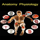 Anatomy Physiology Hindi APK