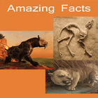 Amazing Facts In Hindi icône