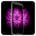 Wallpaper Parallax