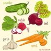 ”Vegetables Name with Images for kids