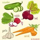 Vegetables Name with Images for kids-APK