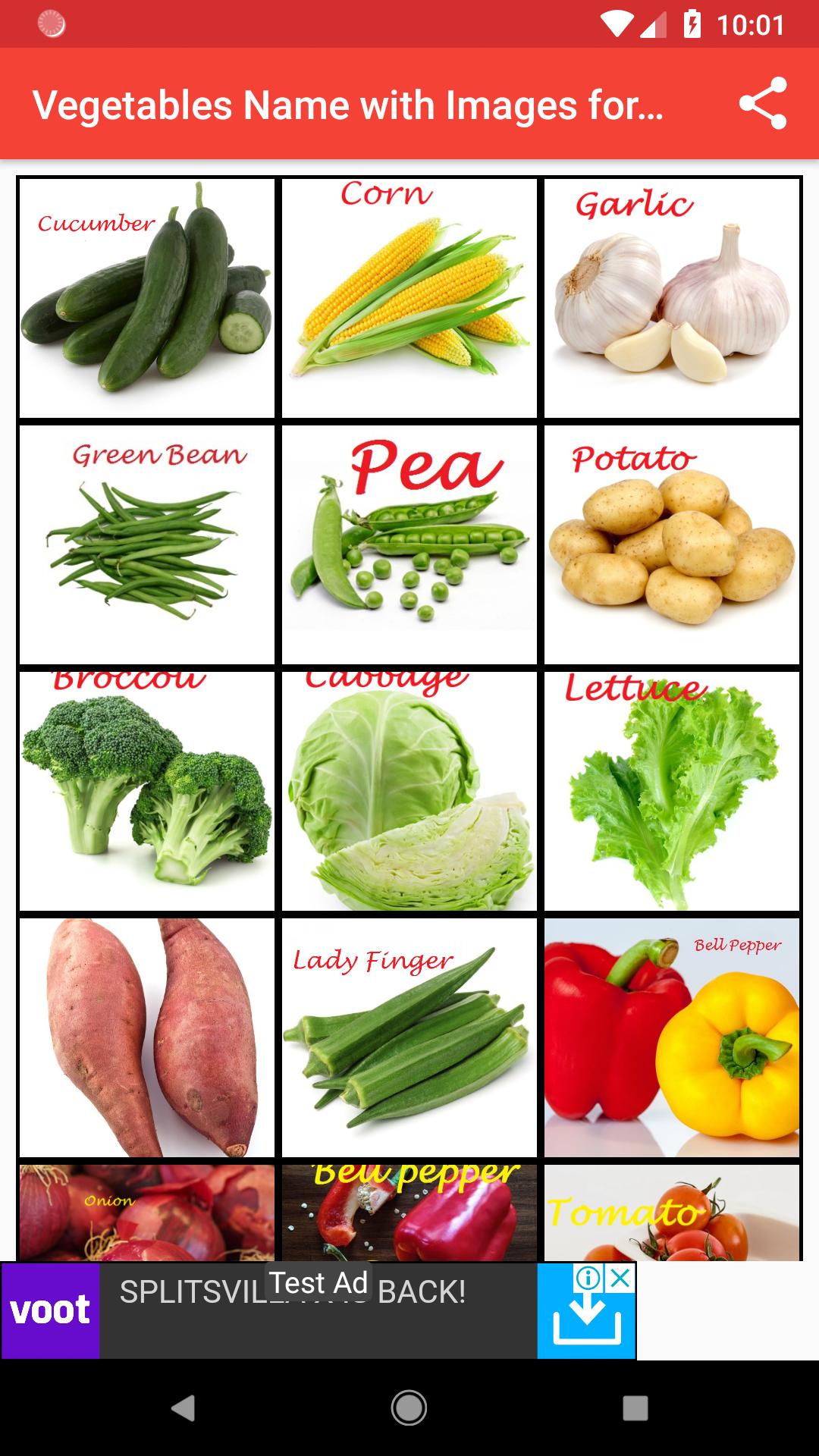 List of Green Vegetables Names For Kids