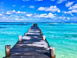 4k Nature wallpapers pics HD Ekran Görüntüsü 2