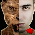 Animal Face Changer - Morphing icono